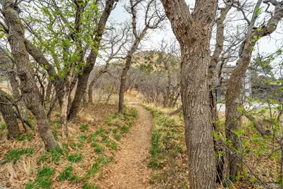 284 Crystal Park Road, Manitou Springs, CO 80829 - Photo 38