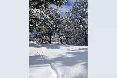 1955-1958, 1961, 2010-201 Rockyview Way, Crestone, CO 81131 - Photo 12