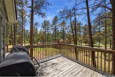 35446 Running Brook Lane, Elizabeth, CO 80107 - Photo 18