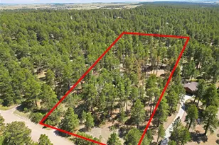 35446 Running Brook Ln, Elizabeth, CO 80107 - Photo 22