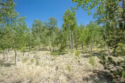 40 Brahma Court, Hartsel, CO 80449 - Photo 20