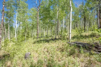 40 Brahma Court, Hartsel, CO 80449 - Photo 22