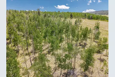 40 Brahma Court, Hartsel, CO 80449 - Photo 16