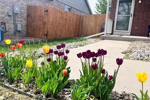 404 W 116th Ave, Northglenn, CO 80234 - Photo 4