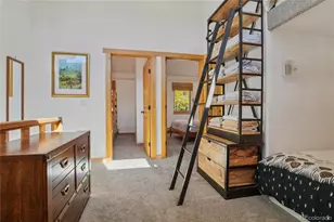 166 S Fuller Placer Rd, Breckenridge, CO 80424 - Photo 16