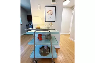 271 N Grant St, Denver, CO 80203 - Photo 24