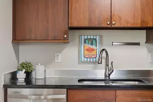 271 N Grant St, Denver, CO 80203 - Photo 22