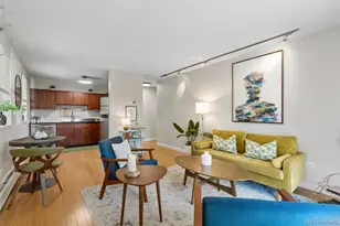 271 N Grant St, Denver, CO 80203 - Photo 16
