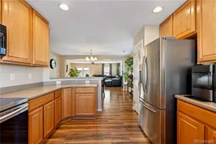 17254 Lark Water Ln, Parker, CO 80134 - Photo 10