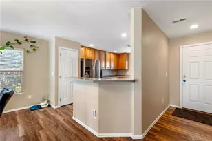 17254 Lark Water Ln, Parker, CO 80134 - Photo 4