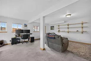 196 Conifer Dr, Bailey, CO 80421 - Photo 38