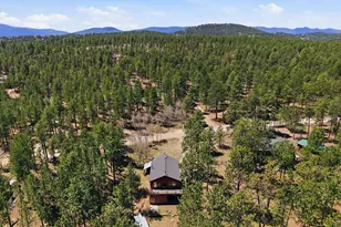 234 Impala Trail, Bailey, CO 80421 - Photo 46