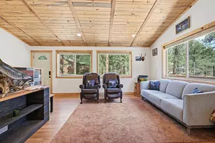 234 Impala Trail, Bailey, CO 80421 - Photo 6
