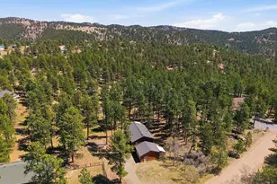 234 Impala Trail, Bailey, CO 80421 - Photo 44