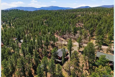 234 Impala Trail, Bailey, CO 80421 - Photo 42