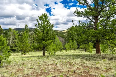 75 Deer Run, Guffey, CO 80820 - Photo 30