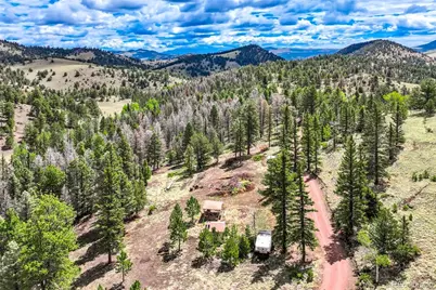 75 Deer Run, Guffey, CO 80820 - Photo 40