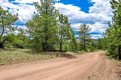 75 Deer Run, Guffey, CO 80820 - Photo 46