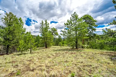 75 Deer Run, Guffey, CO 80820 - Photo 34