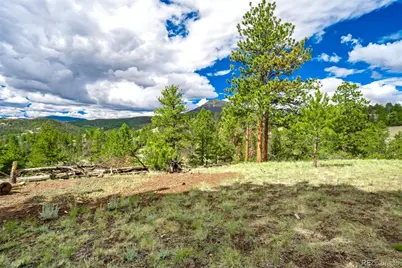 75 Deer Run, Guffey, CO 80820 - Photo 24