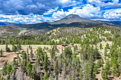 75 Deer Run, Guffey, CO 80820 - Photo 2