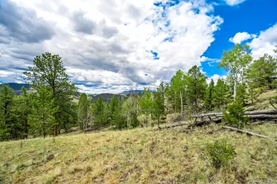 75 Deer Run, Guffey, CO 80820 - Photo 32
