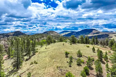 75 Deer Run, Guffey, CO 80820 - Photo 38