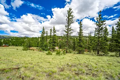 75 Deer Run, Guffey, CO 80820 - Photo 14