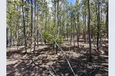 1127 Sequoia Drive, Twin Lakes, CO 80461 - Photo 2