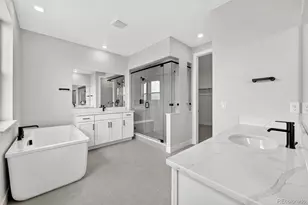 5674 Farrier Pt, Castle Rock, CO 80104 - Photo 4