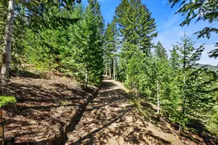 33992 Meadow Mountain Rd, Evergreen, CO 80439 - Photo 42