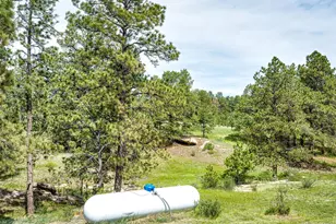 6206 Co Rd 102, Elbert, CO 80106 - Photo 10
