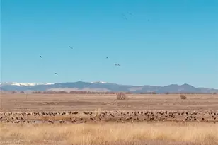 24501 Co Rd 6, La Jara, CO 81140 - Photo 42