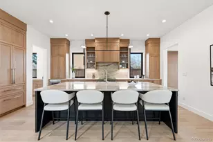 910 S Gaylord St, Denver, CO 80209 - Photo 14