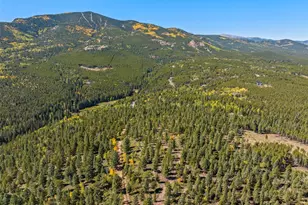 31334 Forest Shadow Trl, Conifer, CO 80433 - Photo 16