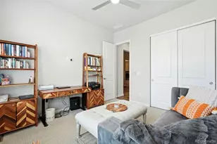 214 Simmental Loop, Castle Rock, CO 80104 - Photo 4