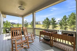 214 Simmental Loop, Castle Rock, CO 80104 - Photo 26
