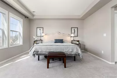 10480 Skyreach Road, Highlands Ranch, CO 80126 - Photo 20