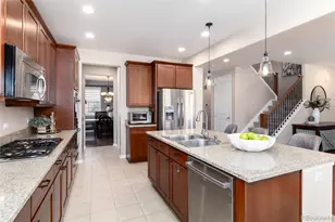 10480 Skyreach Rd, Highlands Ranch, CO 80126 - Photo 12