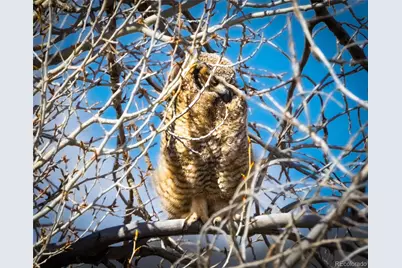 758 Spruce Drive, Twin Lakes, CO 80461 - Photo 26