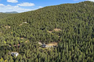 33884 Bergen View Trail, Evergreen, CO 80439 - Photo 24