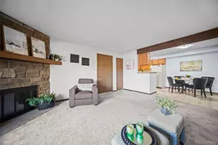 209 Wright St, Lakewood, CO 80228 - Photo 8