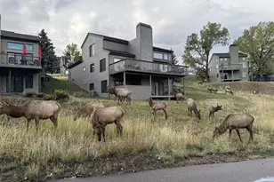 23624 Pondview Pl, Golden, CO 80401 - Photo 34