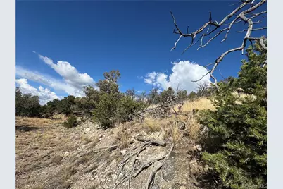 0 27th Trail, Cotopaxi, CO 81223 - Photo 10