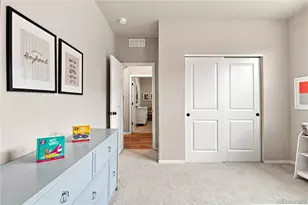 2693 Vallecito St, Timnath, CO 80547 - Photo 28