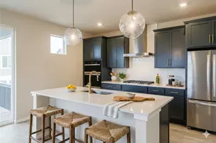 13784 Daffodil Wy, Parker, CO 80134 - Photo 6