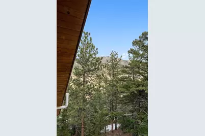 46 County Road 64, Shawnee, CO 80475 - Photo 24