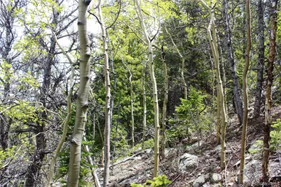 16564A Pennsylvania, Idaho Springs, CO 80461 - Photo 12