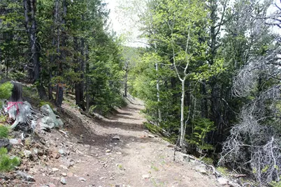 16564A Pennsylvania, Idaho Springs, CO 80461 - Photo 4