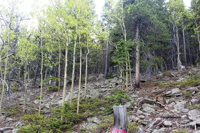 16564A Pennsylvania, Idaho Springs, CO 80461 - Photo 18